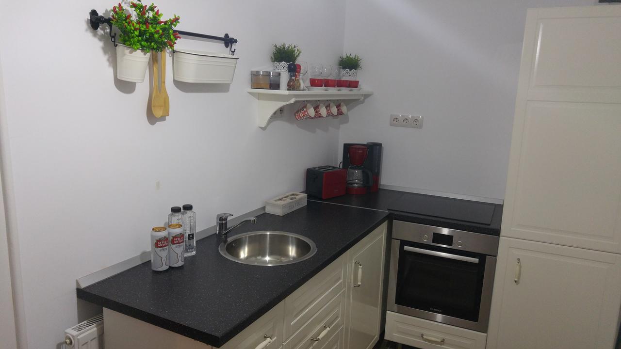 Apartment Bianco Central Sibiu Extérieur photo